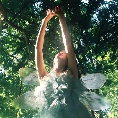 德云社丙申年开箱庆典2016